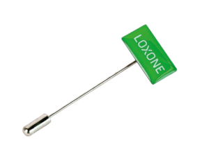 Loxone Pin