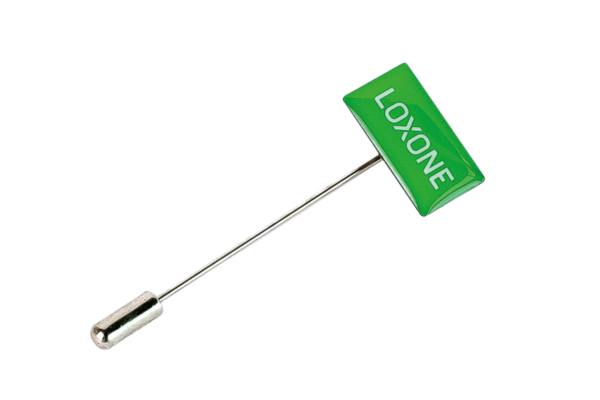 Loxone Pin