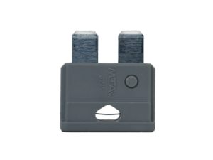 Steekzekering 2A (100 Stuks)